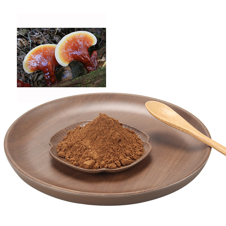 Mushroom Powder Natural Reishi Lions Mane Cordyceps Chaga Maitake Reishi Mushroom Ganoderma Lucidum Extract 40% Polysaccharides